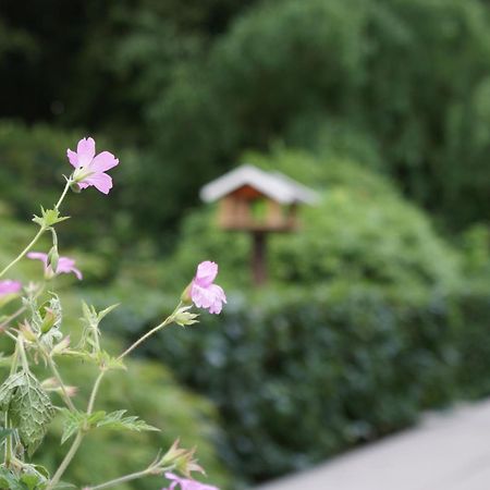 Klazienaveen De Drie Berken B&B 외부 사진